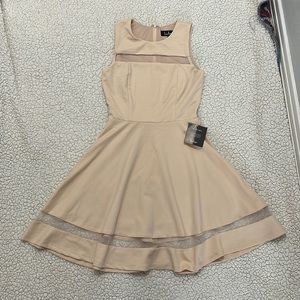 Lulu’s Sheer Determination Skater Dress XS